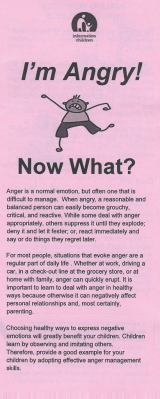 <h5>I’M ANGRY – NOW WHAT?</h5><p>Dealing with your anger feelings. Tips for talking about your anger. Dealing with anger in others. Adult focused.</p>