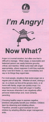 <h5>I’M ANGRY – NOW WHAT?</h5><p>Dealing with your anger feelings. Tips for talking about your anger. Dealing with anger in others. Adult focused.</p>